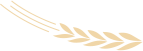 0101.png