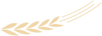 0202.png